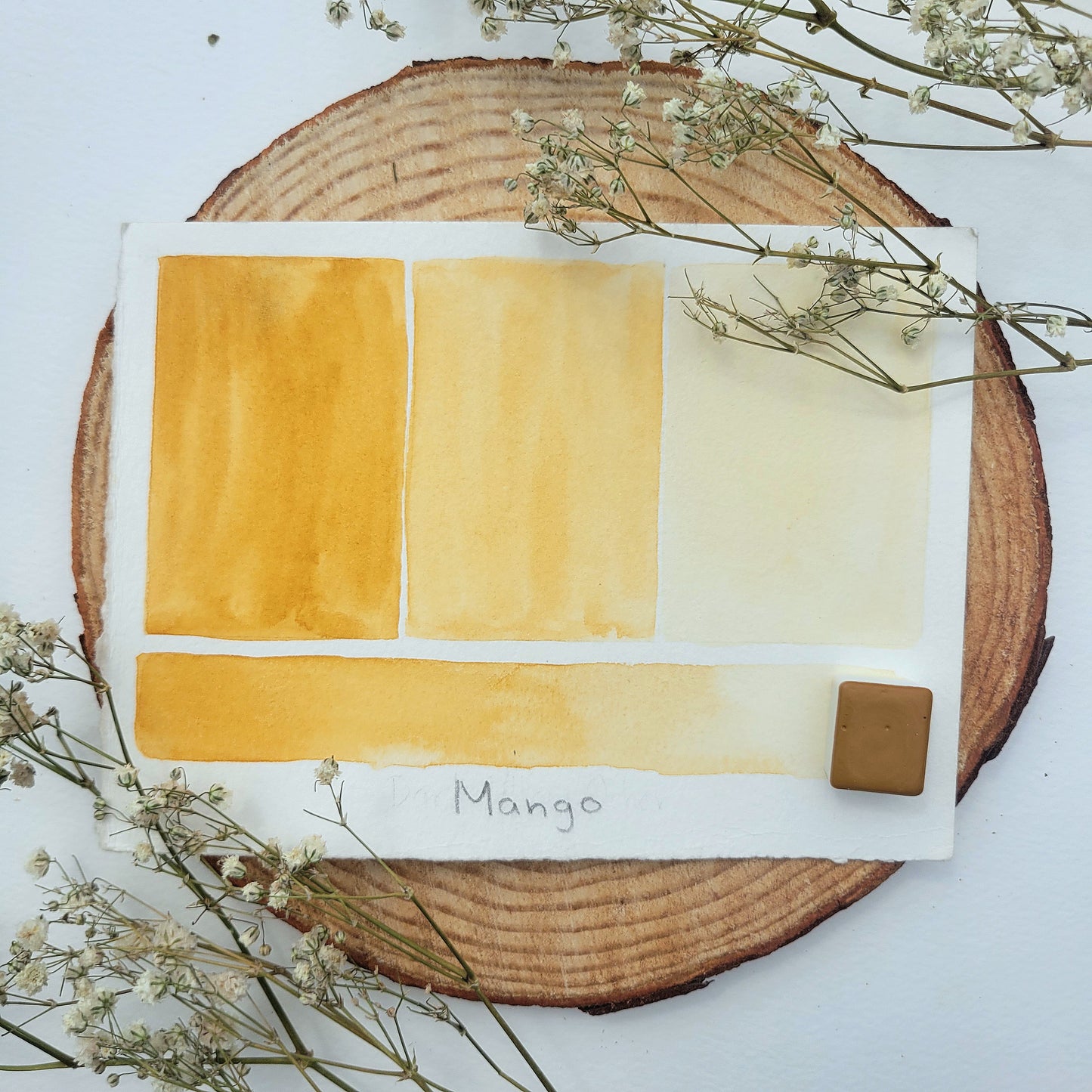 Earth Tones - 12 Watercolor Travel Palette