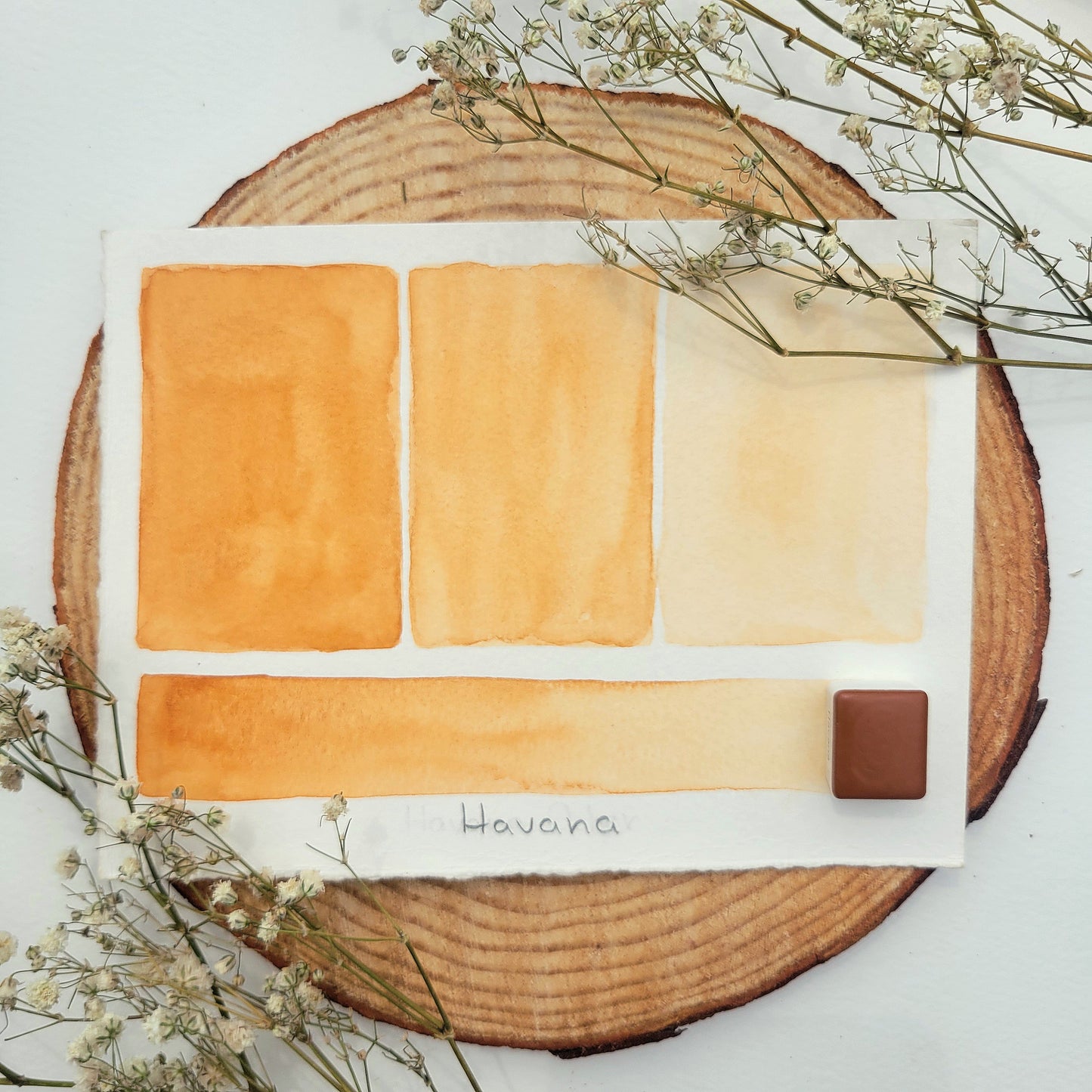 Earth Tones - 12 Watercolor Travel Palette