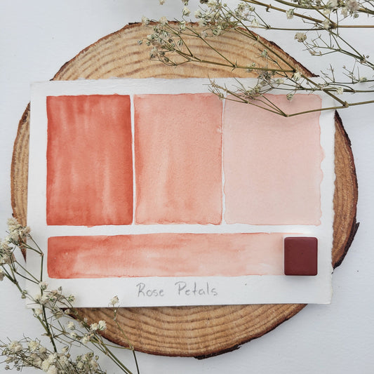 Rose Petals | Half Pan Watercolor