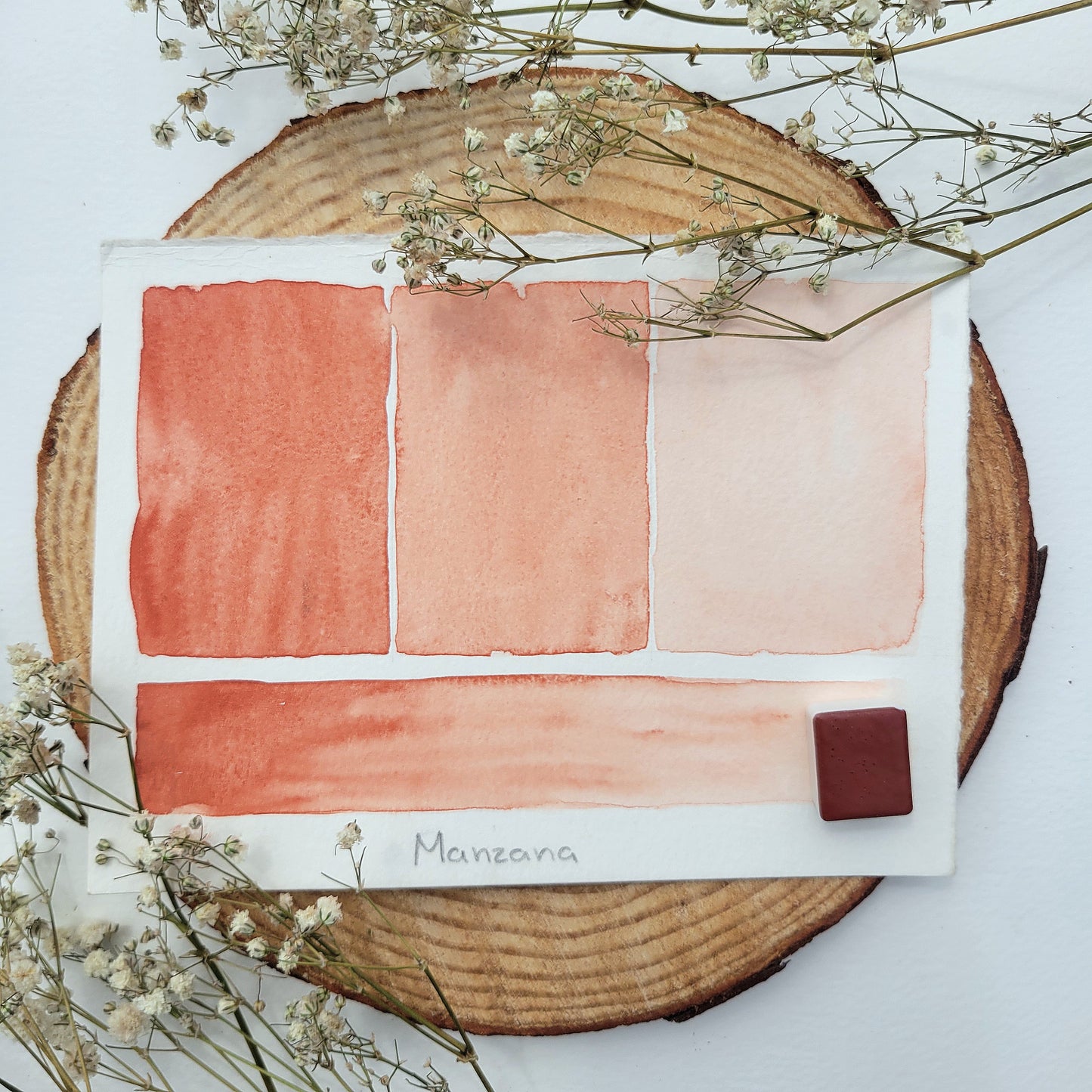 Manzana | Half Pan Watercolor