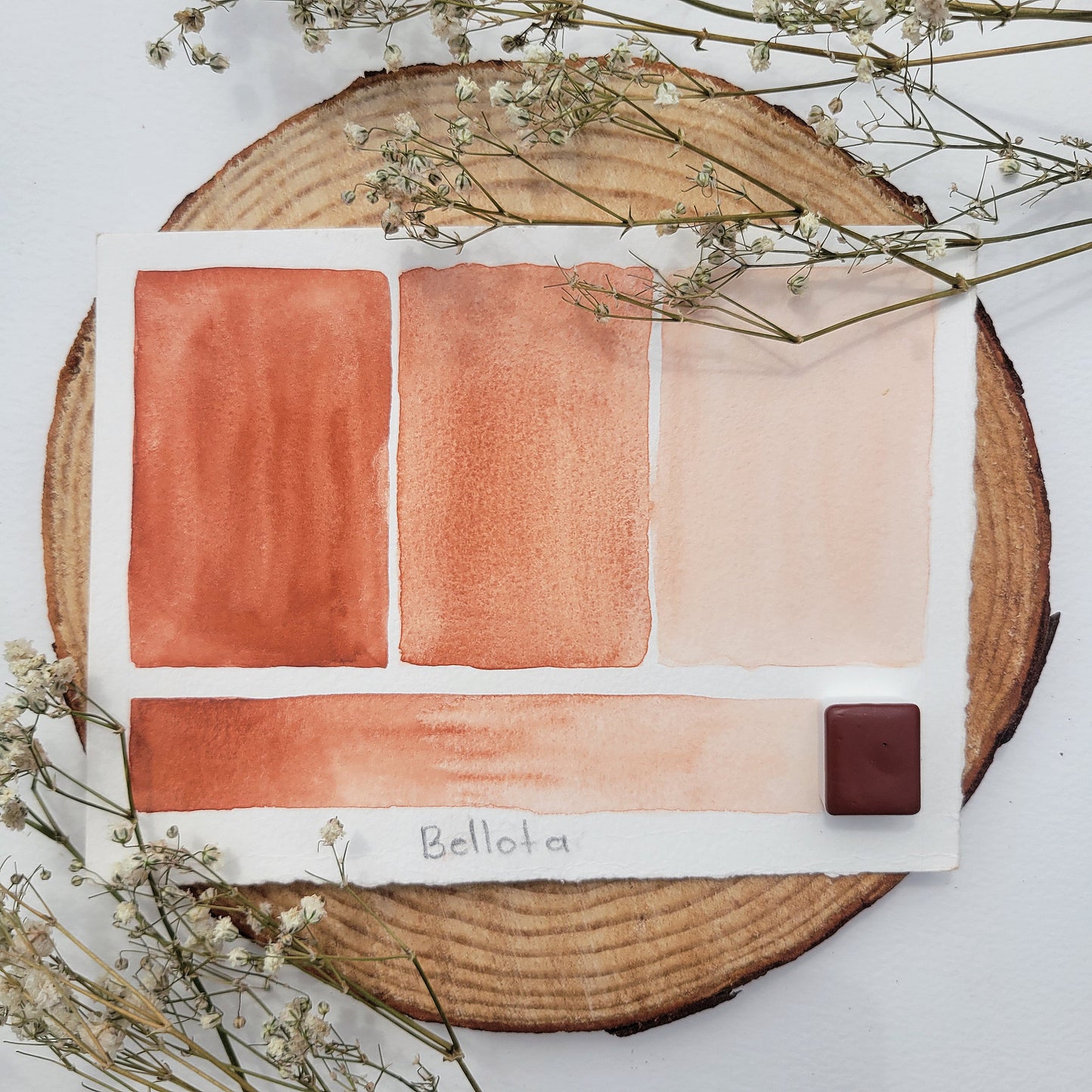 Bellota | Half Pan Watercolor