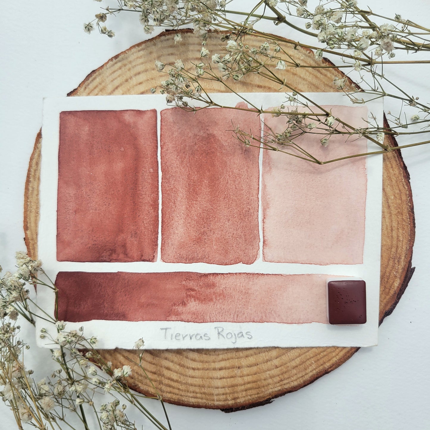 Tierras Rojas | Half Pan Watercolor