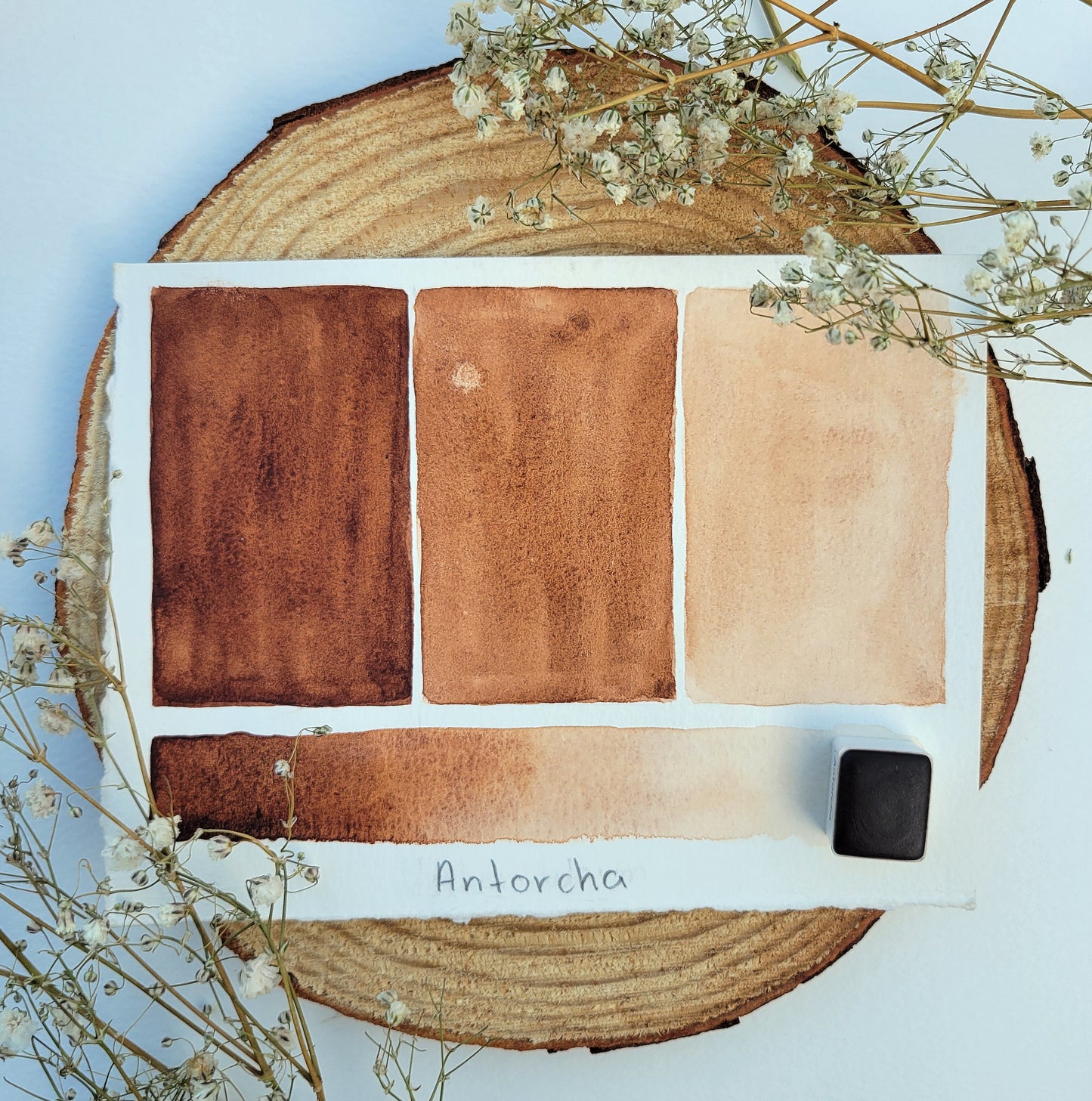 Earth Tones - 12 Watercolor Travel Palette